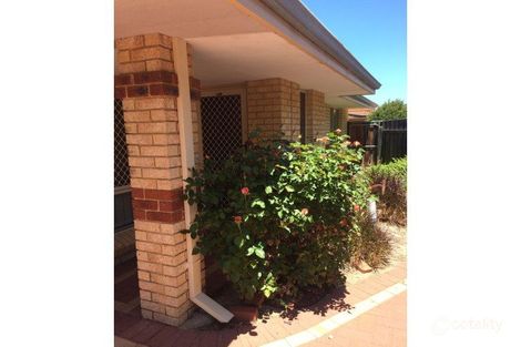 Property photo of 31/229 Albert Street Osborne Park WA 6017
