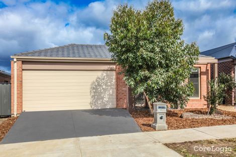 Property photo of 18 Bottlebrush Road Craigieburn VIC 3064