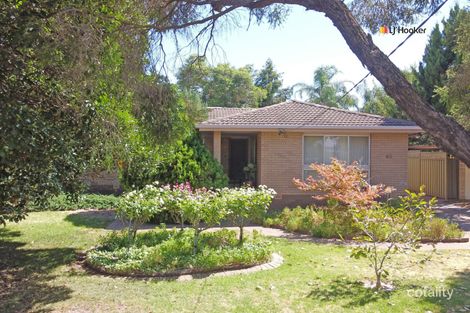 65 Fay Ave, Kooringal, NSW 2650