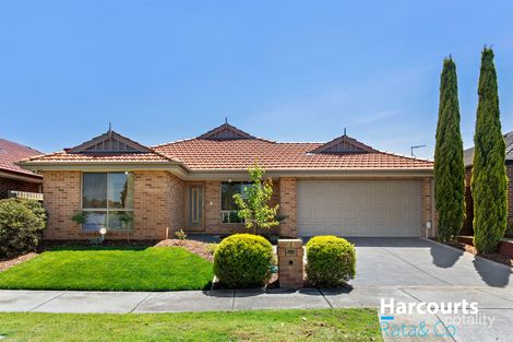 33 Auburn Rd, South Morang, VIC 3752