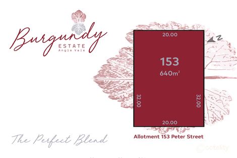 Property photo of 17 Peter Street Angle Vale SA 5117