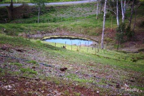 Property photo of 1107 Eel Creek Road Langshaw QLD 4570