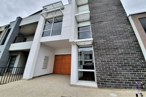 Property photo of 7 Wodli Street Lightsview SA 5085