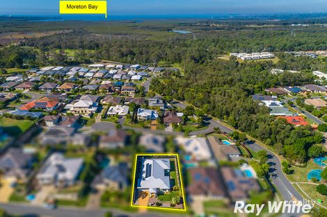 Property photo of 6 Osprey Court Mango Hill QLD 4509