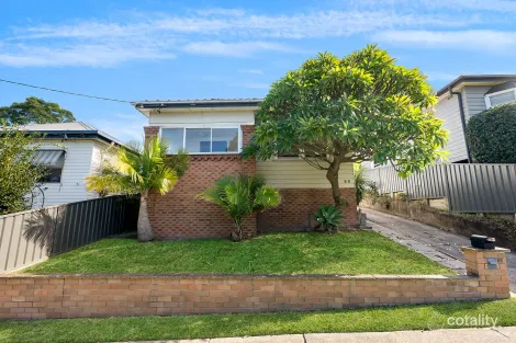 69 Harriet St, Waratah, NSW 2298