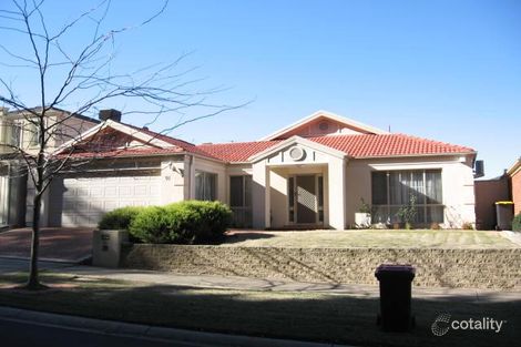 91 Avendon Bvd, Glen Waverley, VIC 3150