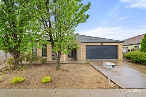 66 Cedar St, Harrison, ACT 2914