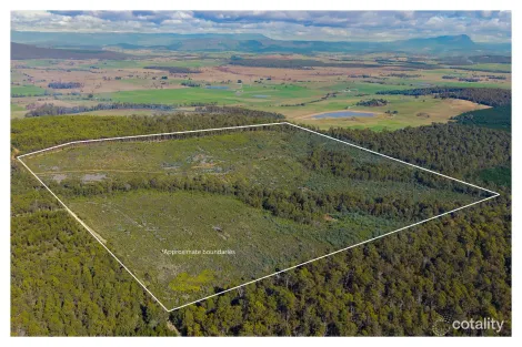 Property photo of Bradys Creek Road Parkham TAS 7304