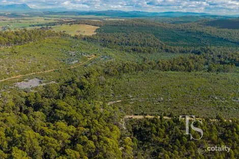 Property photo of Bradys Creek Road Parkham TAS 7304