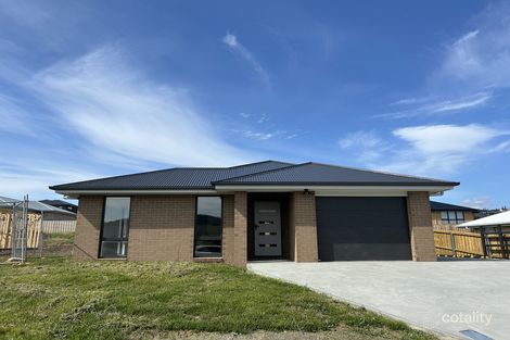 Property photo of 12 Arbie Lane Old Beach TAS 7017