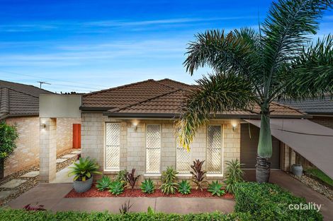 Property photo of 46 Vanilla Avenue Griffin QLD 4503