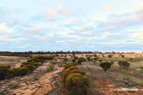 Property photo of LOT 8101 Goldfields Road Kellerberrin WA 6410