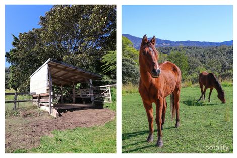 Property photo of 69/265 Martin Road Larnook NSW 2480