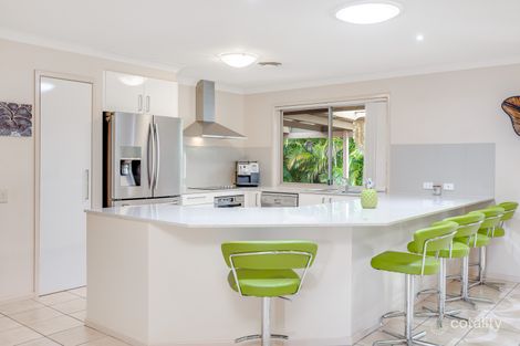 Property photo of 7 Birkdale Court Banora Point NSW 2486