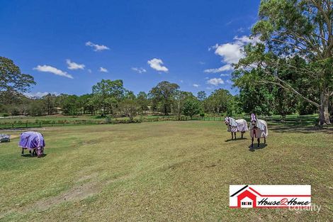 Property photo of 14 Dandaloo Court Pimpama QLD 4209
