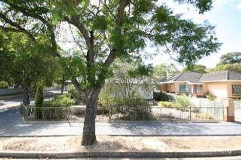 11 Cheviot Ave, Lower Mitcham, SA 5062