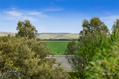 Property photo of 23 Punthari Road Angas Valley SA 5238