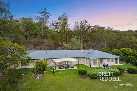 Property photo of 20 Mobbs Place Ormeau QLD 4208