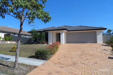 Property photo of 41 Tweeddale Circuit Drewvale QLD 4116