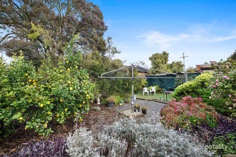 Property photo of 4 Beilby Street Moorabbin VIC 3189