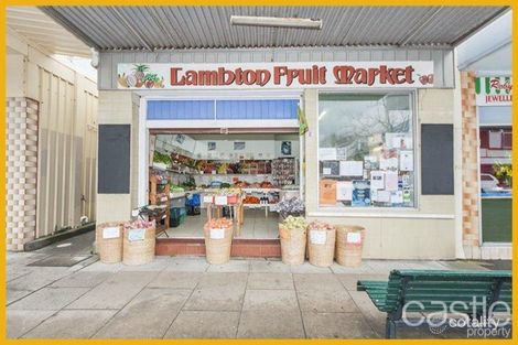 98 Elder St, Lambton, NSW 2299