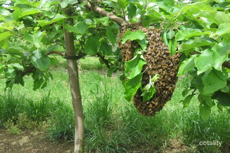 190 Churches Rd, Jardee, WA 6258