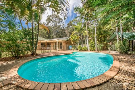 Property photo of 43 Urangan Court Helensvale QLD 4212