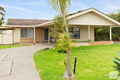 20 Grazing Ave, Morphett Vale, SA 5162