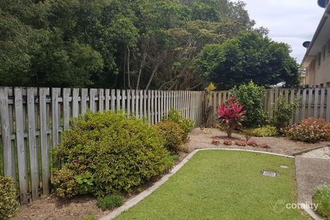 Property photo of 161/2 Falcon Way Tweed Heads South NSW 2486
