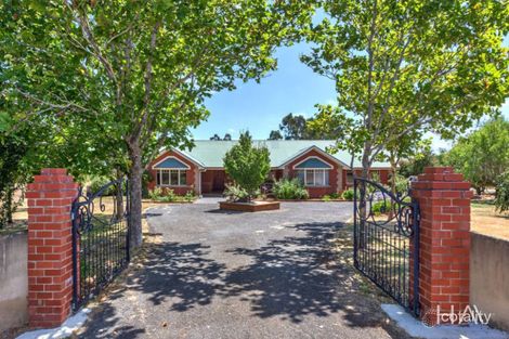 188 Ritchie St, Westbury, TAS 7303