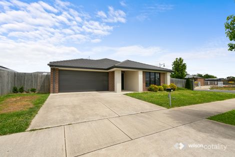 Property photo of 12 Columbia Crescent Traralgon VIC 3844