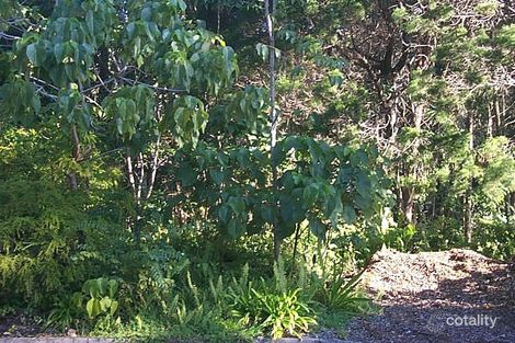 Property photo of 24 Kareela Avenue Noosa Heads QLD 4567