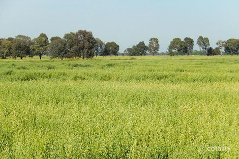 293 Mcbain Rd, Wyuna East, VIC 3620