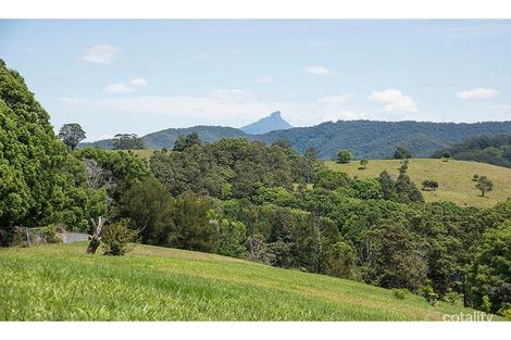 25 The Bloodwoods Rd, Stokers Siding, NSW 2484