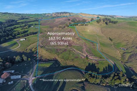 103 Otooles Rd, Wild Dog Valley, VIC 3953
