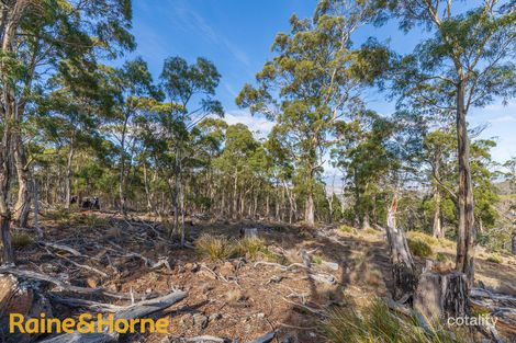 Lot 1 Grices Rd, Tea Tree, TAS 7017