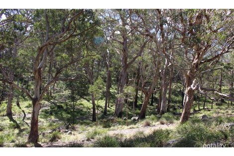 Property photo of 208 Mount McKenzie Lookout Road Tenterfield NSW 2372