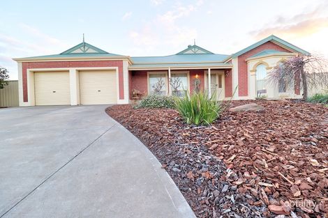 Property photo of 10 Affleck Court Berri SA 5343
