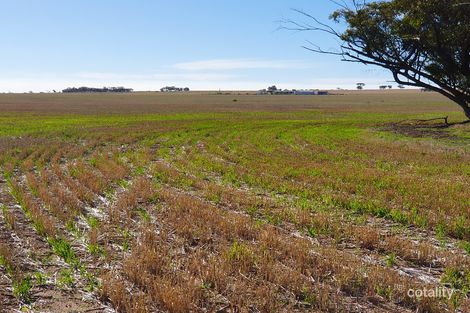 360 Wilson Rd, East Pingelly, WA 6308