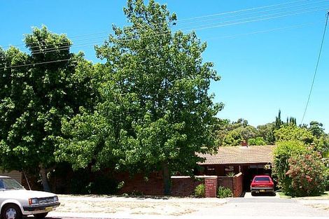 34 Davallia Rd, Duncraig, WA 6023