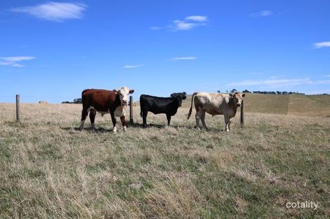 76 Rees Rd, Jumbunna, VIC 3951