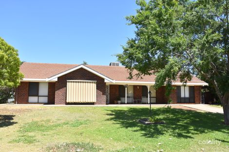 Property photo of 13 Myall Place Moree NSW 2400