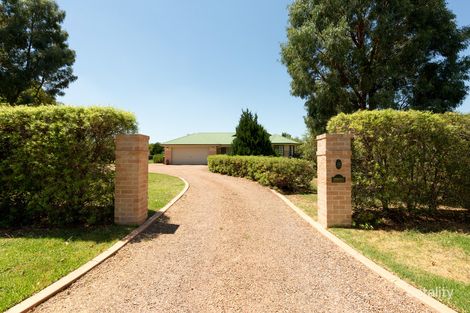 Property photo of 8 Chestnut Close Putta Bucca NSW 2850