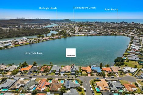 Property photo of 12 Acron Street Elanora QLD 4221