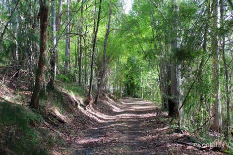 136 Perrins Rd, Eudlo, QLD 4554