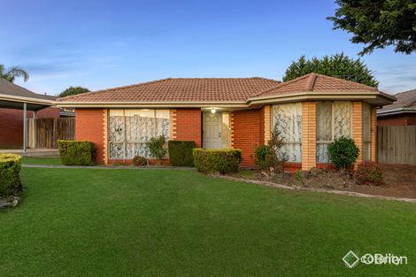 8 Rubicon Ct, Hallam, VIC 3803
