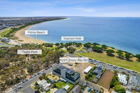 3/1 Zeally Bay Rd, Torquay, VIC 3228