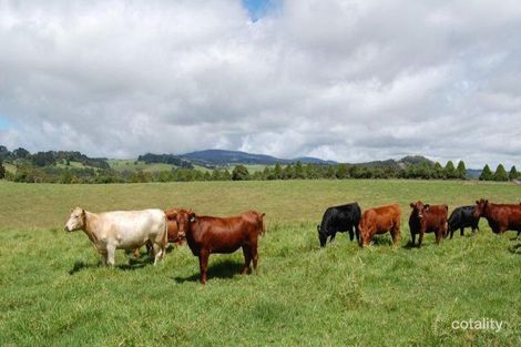 5070 Waterfall Way, Fernbrook, NSW 2453