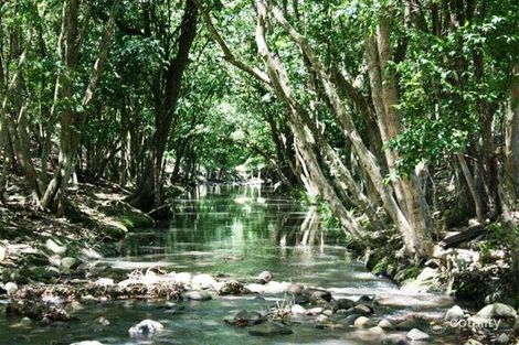 672 Main Creek Rd, Main Creek, NSW 2420