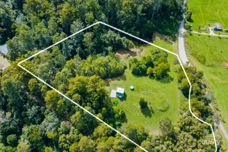 Property photo of 242 Summervilles Road Thora NSW 2454